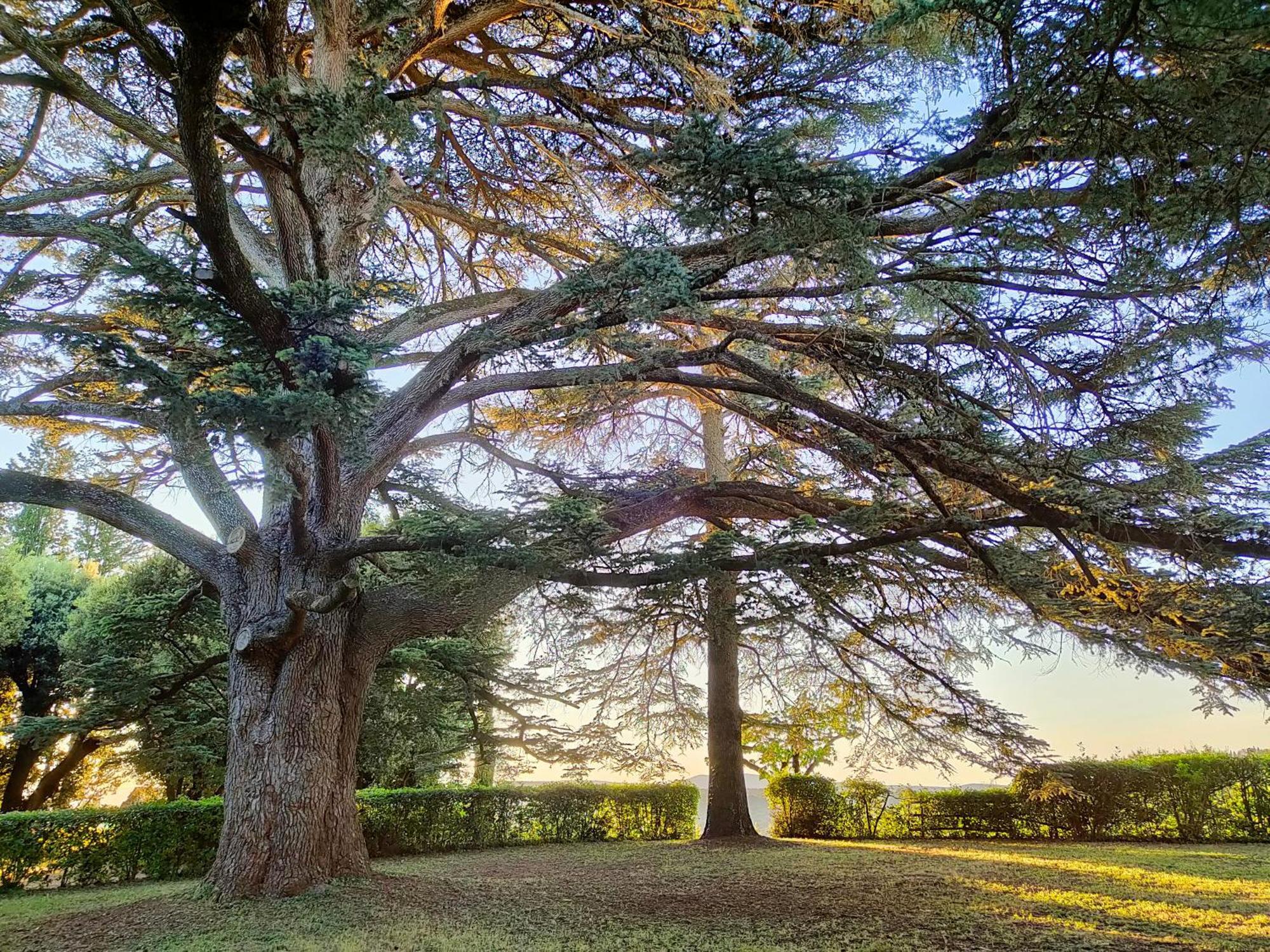 Borgo Villa Certano - Case Vacanza In Toscana Siena Buitenkant foto