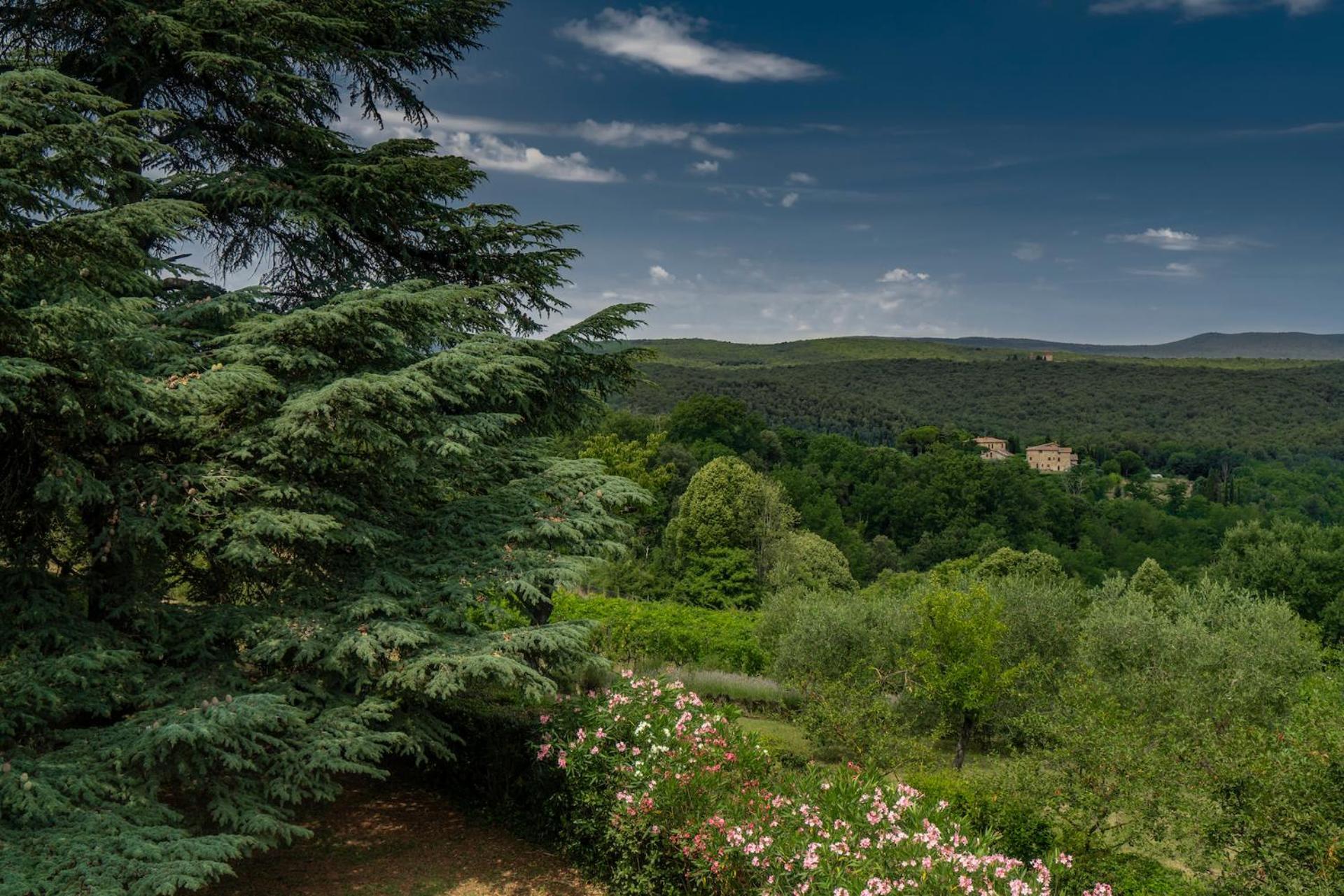 Borgo Villa Certano - Case Vacanza In Toscana Siena Buitenkant foto