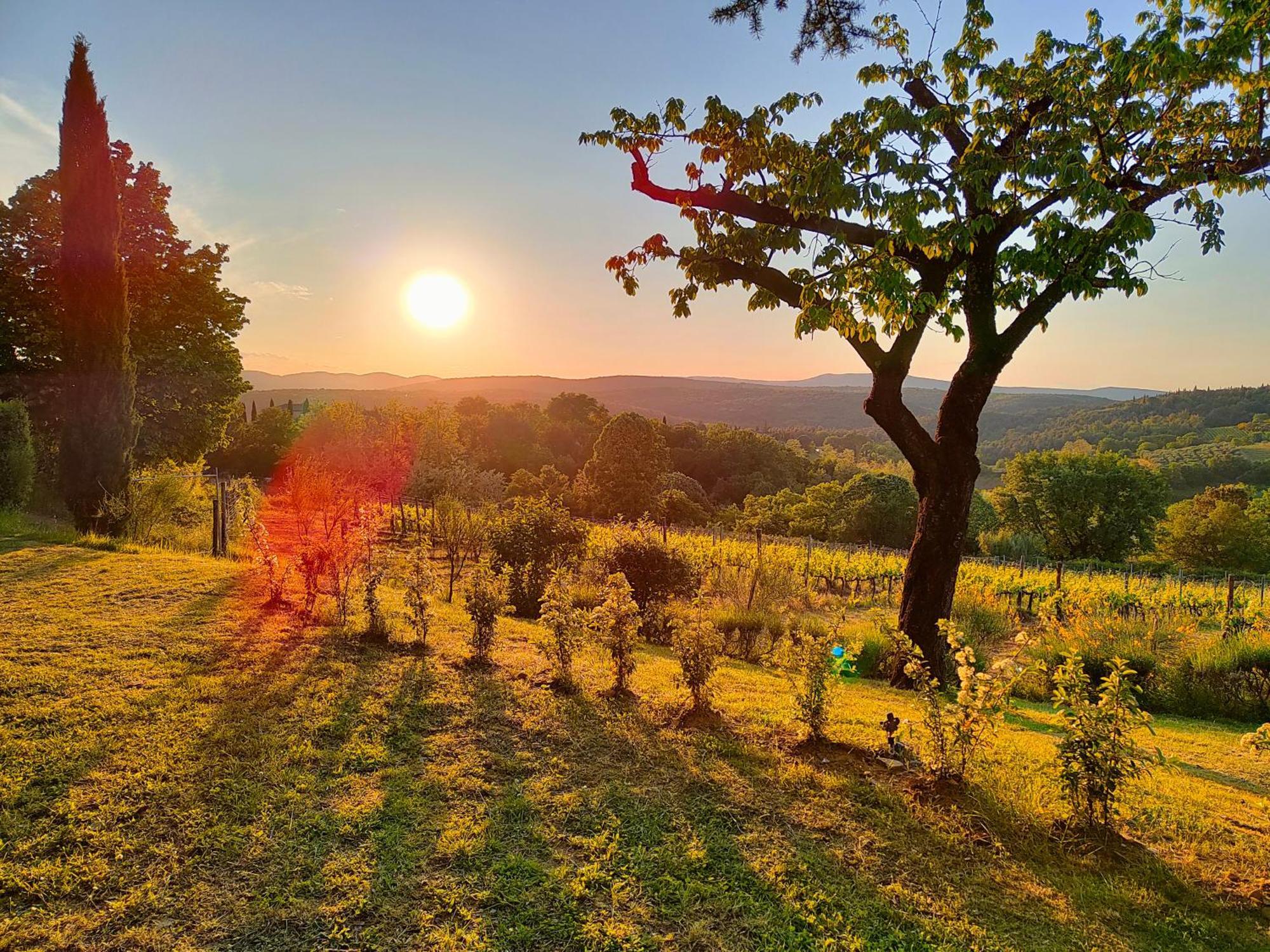 Borgo Villa Certano - Case Vacanza In Toscana Siena Buitenkant foto