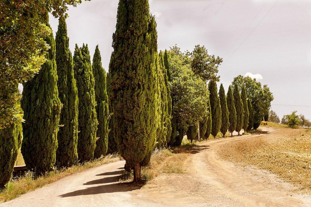 Borgo Villa Certano - Case Vacanza In Toscana Siena Buitenkant foto